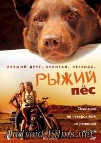 фильм Рыжий пес (2011)
