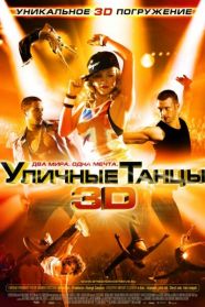 фильм Уличные танцы 3D (2010)