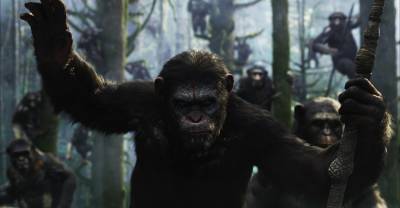 Планета обезьян: Революция - Скриншот 1